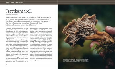 Svampbok för matälskare