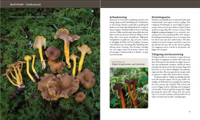 Svampbok för matälskare